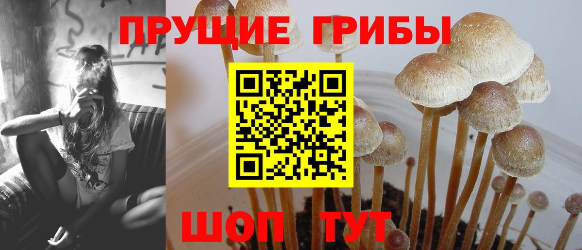 Псилоцибиновые грибы Magic Shrooms Конаково
